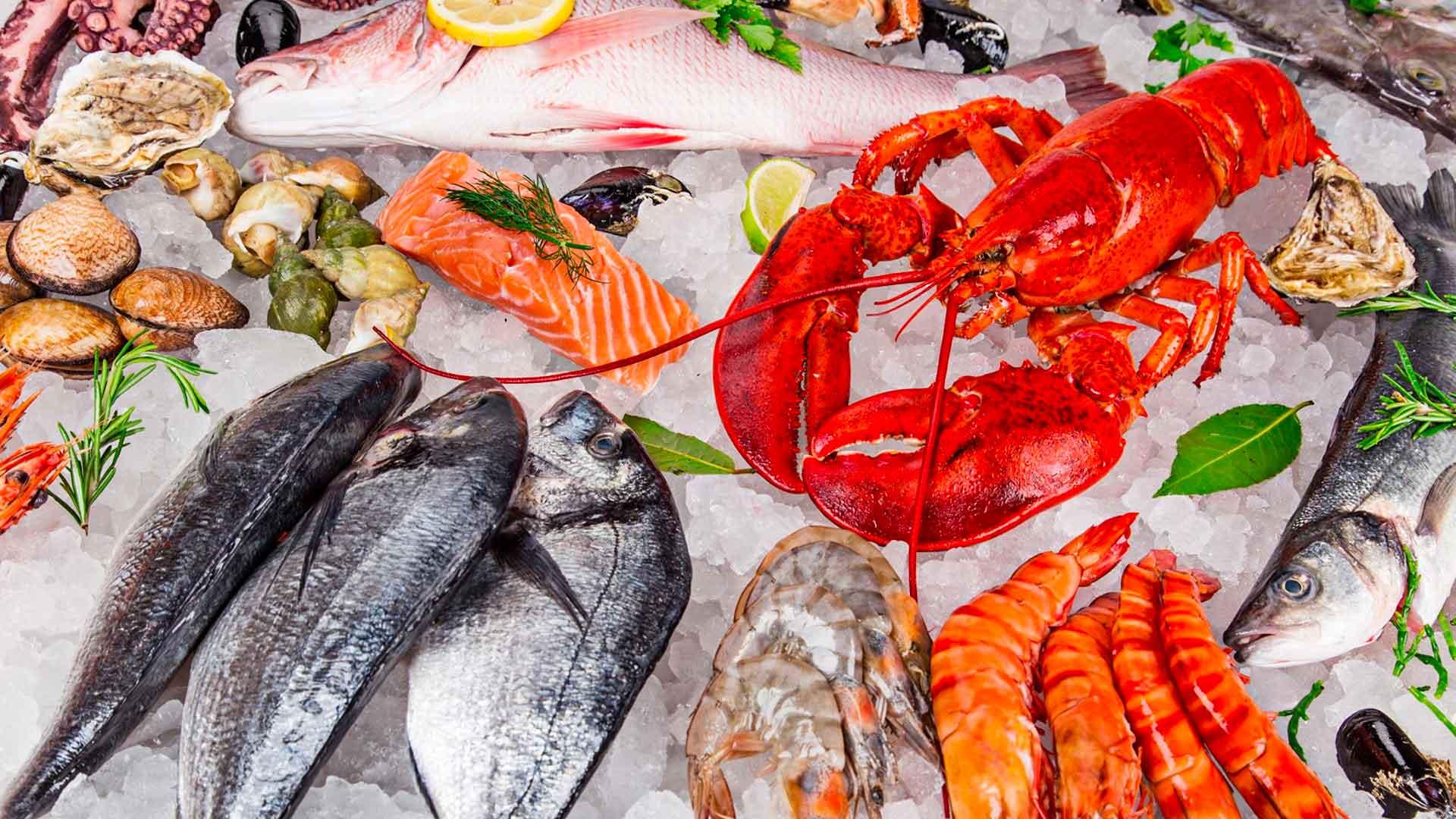 Bannière d'accueil de Tilapia Company